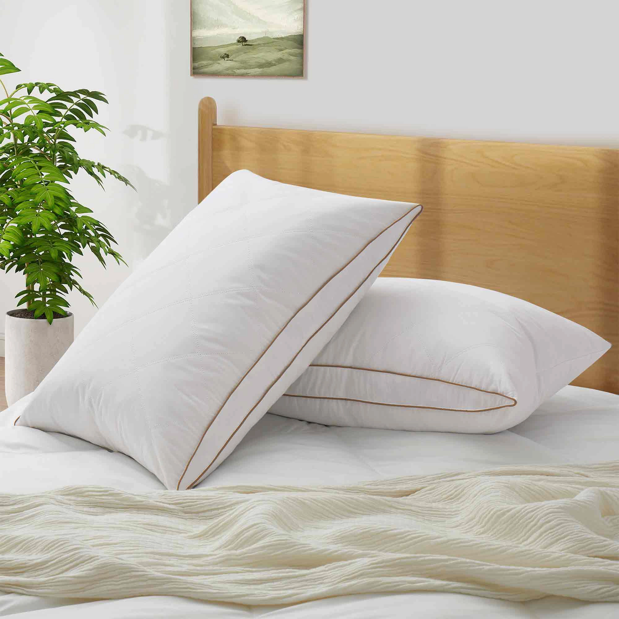 PeaceNest 100%Cotton Cover Goose Feather and Down Sleeping Pillows,Medium Comfort,Set of 2