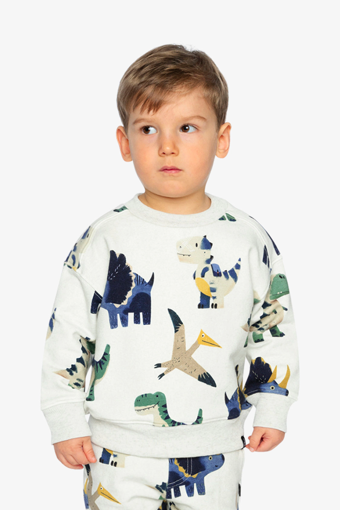 Deux par Boys Fleece Ribbed Crewneck Dinosaur Print Sweatshirt