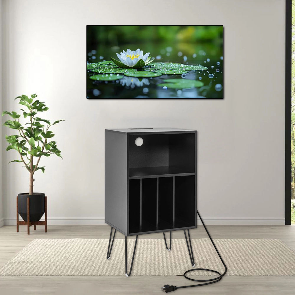 Hivvago Stylish Record Console with Charging Ports and Storage Shelves