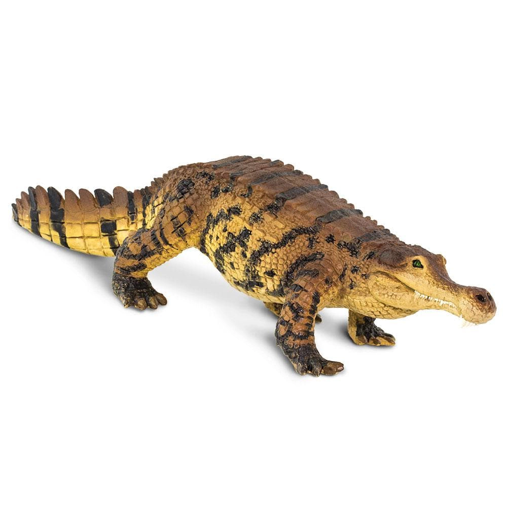 Safari Ltd. - Sarcosuchus Kids Prehistoric/Dinosaur Toy Figure