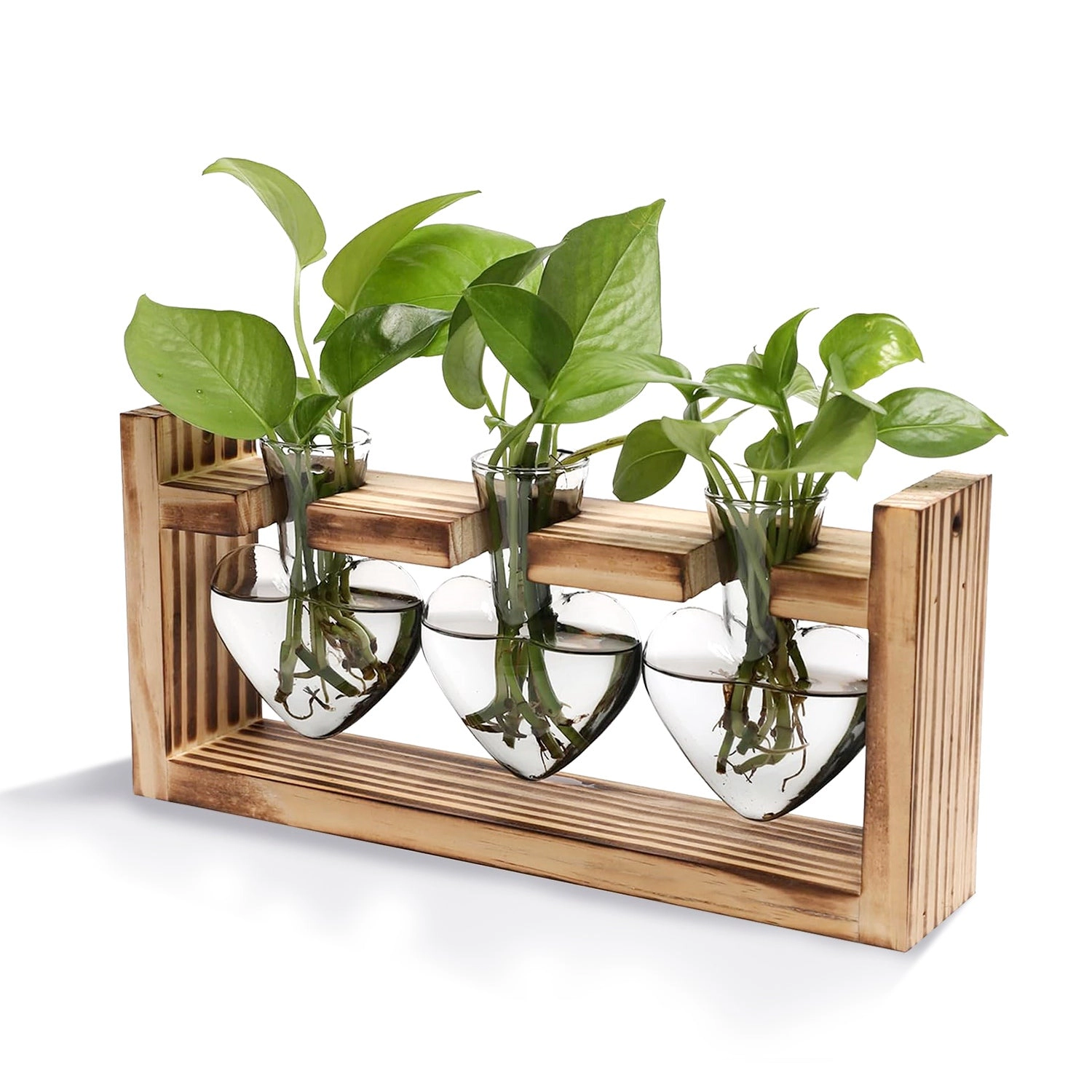 GBruno Heart-Shaped Plant Propagation Station