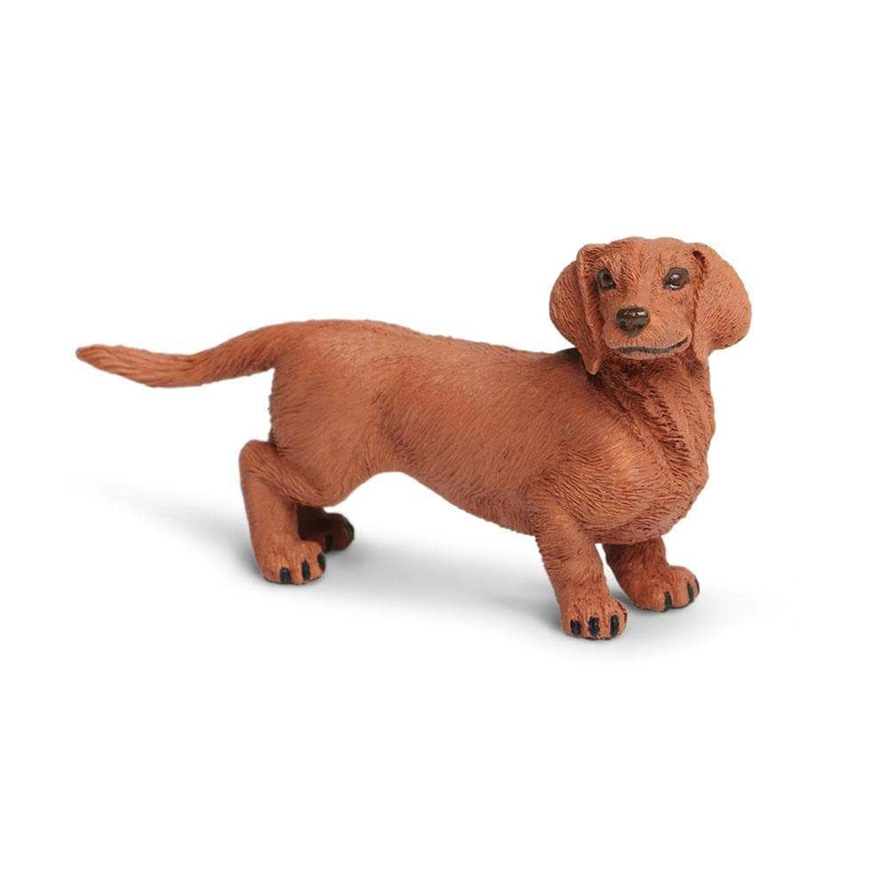 Safari Ltd. - Dachshund Kids Toy Figure