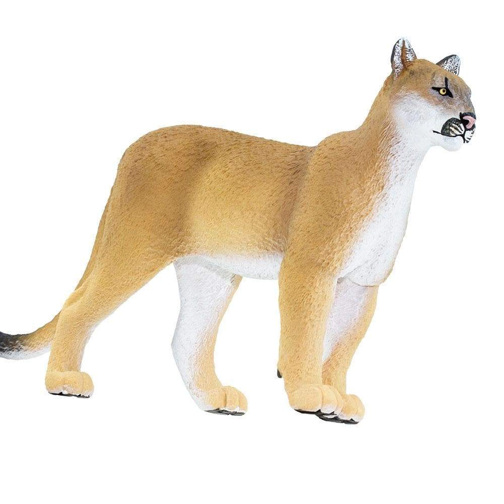 Safari Ltd. - Florida Panther Kids Toy Figure