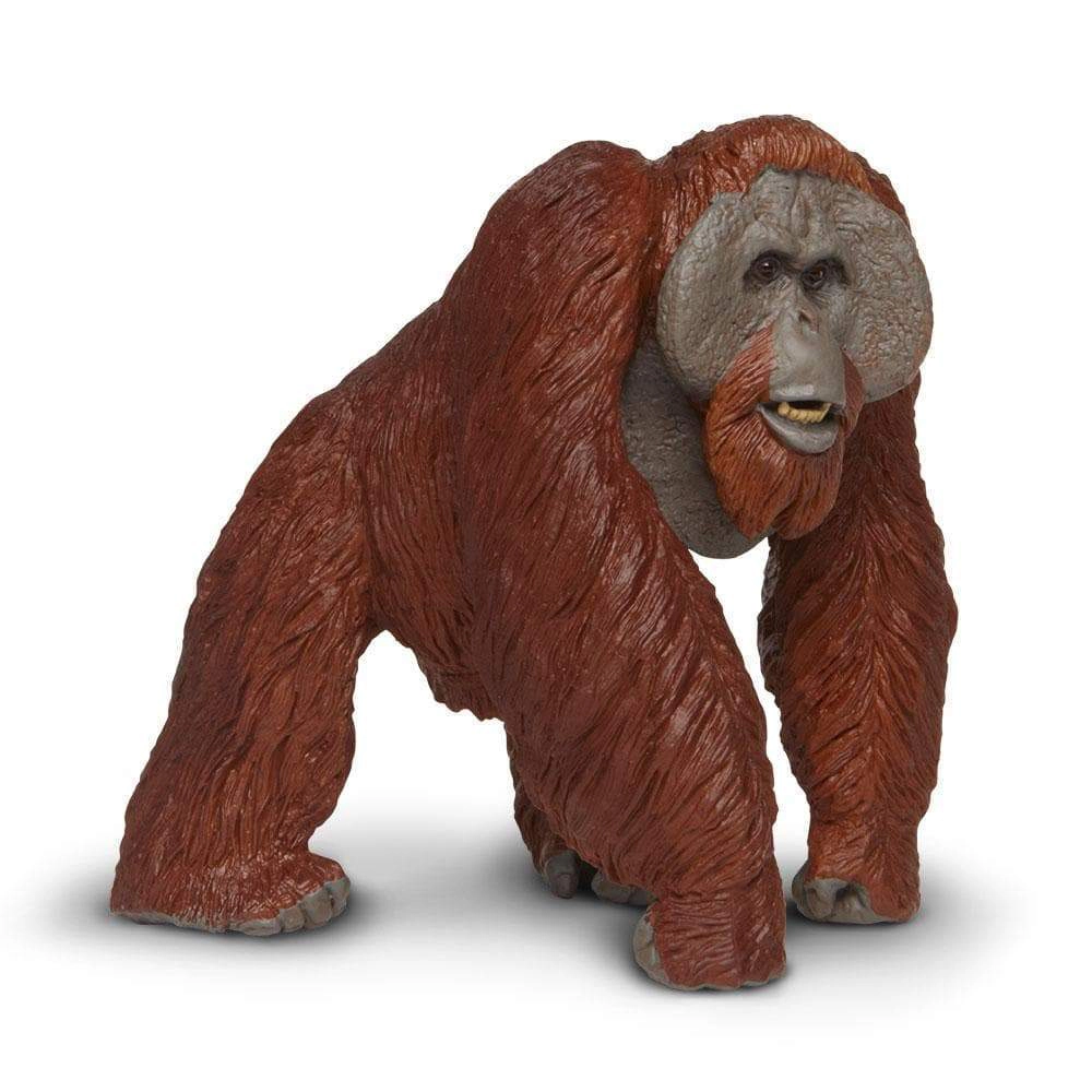 Safari Ltd. - Bornean Orangutan Kids Toy Figure