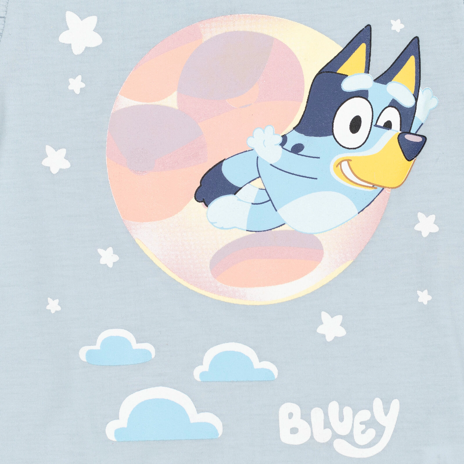 Bluey Girls' 2-Piece Tee and Shorts Set