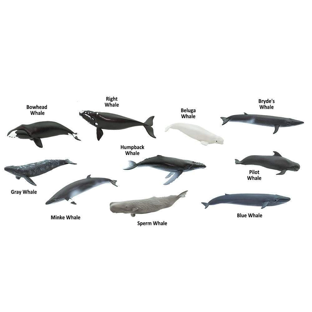 Safari Ltd. - Whales TOOB - contains 10 Mini Figurines