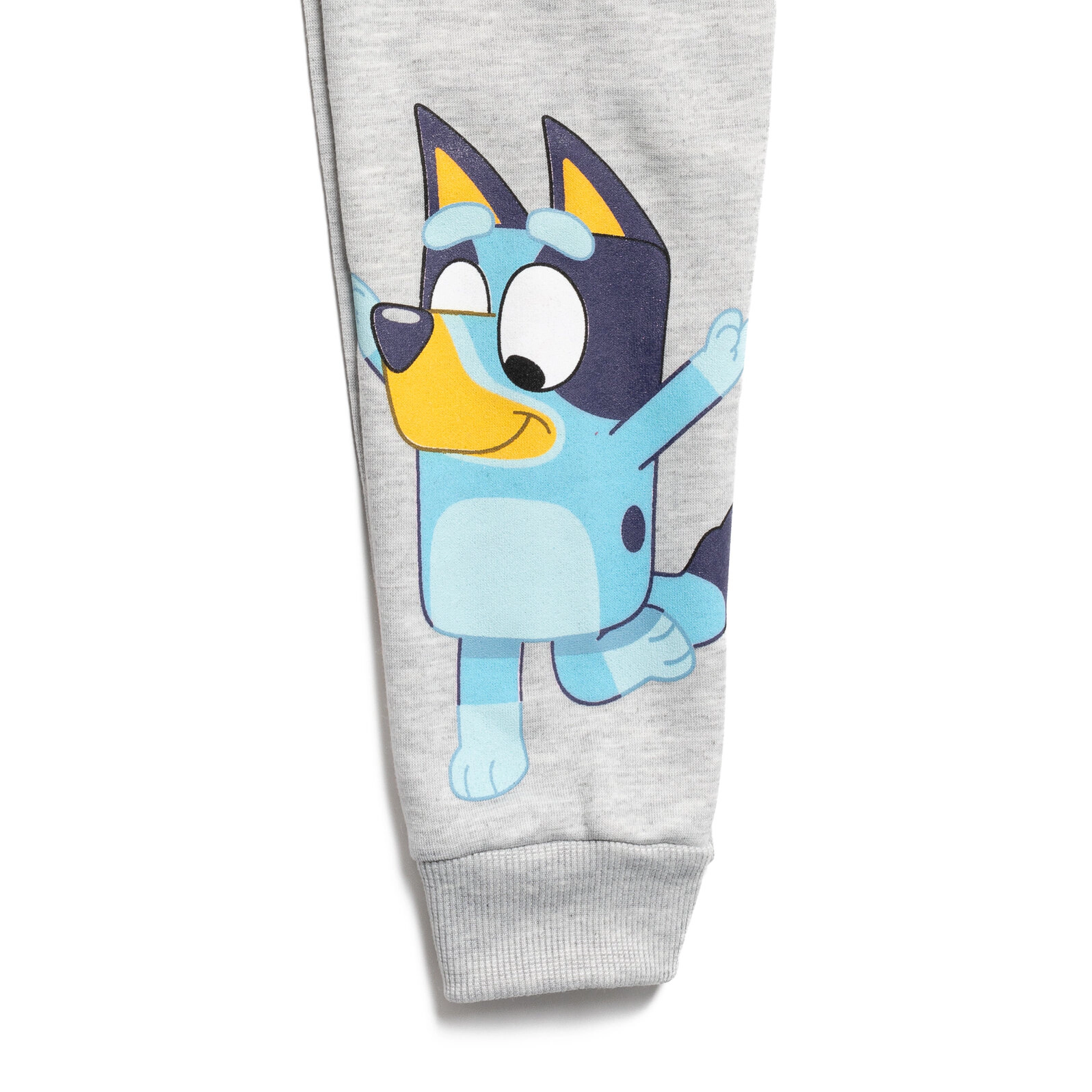 Bluey Little Kids' Boy or Girl Fleece 2-Piece Sweatshirt and Pants Set