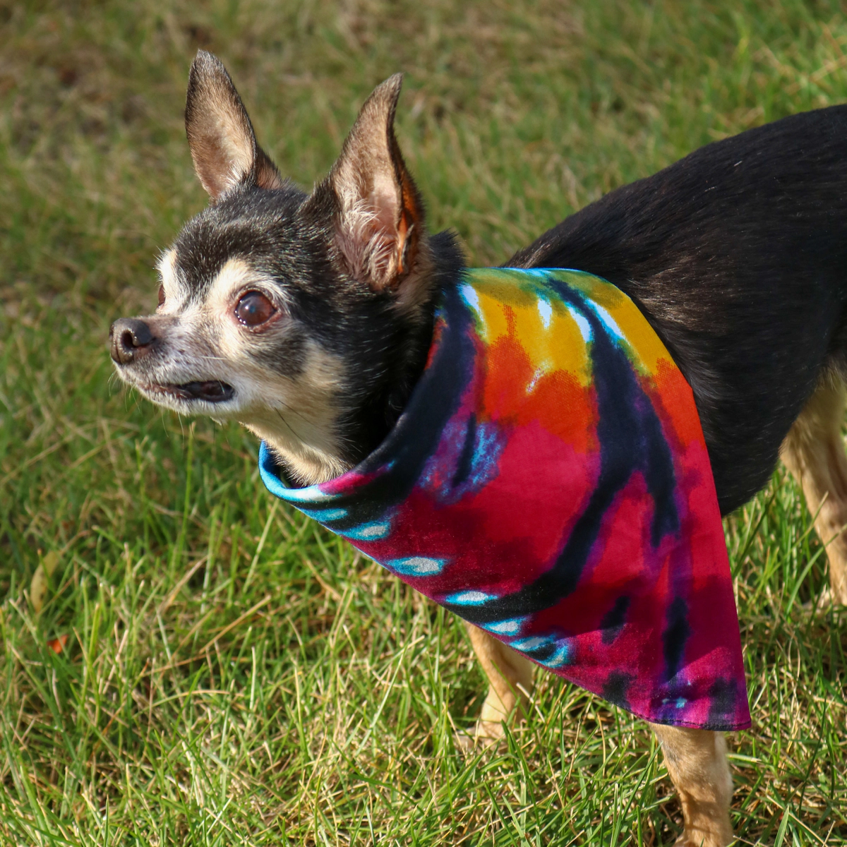 CTM® Cotton Dark Storm Tie-Dye Bandana