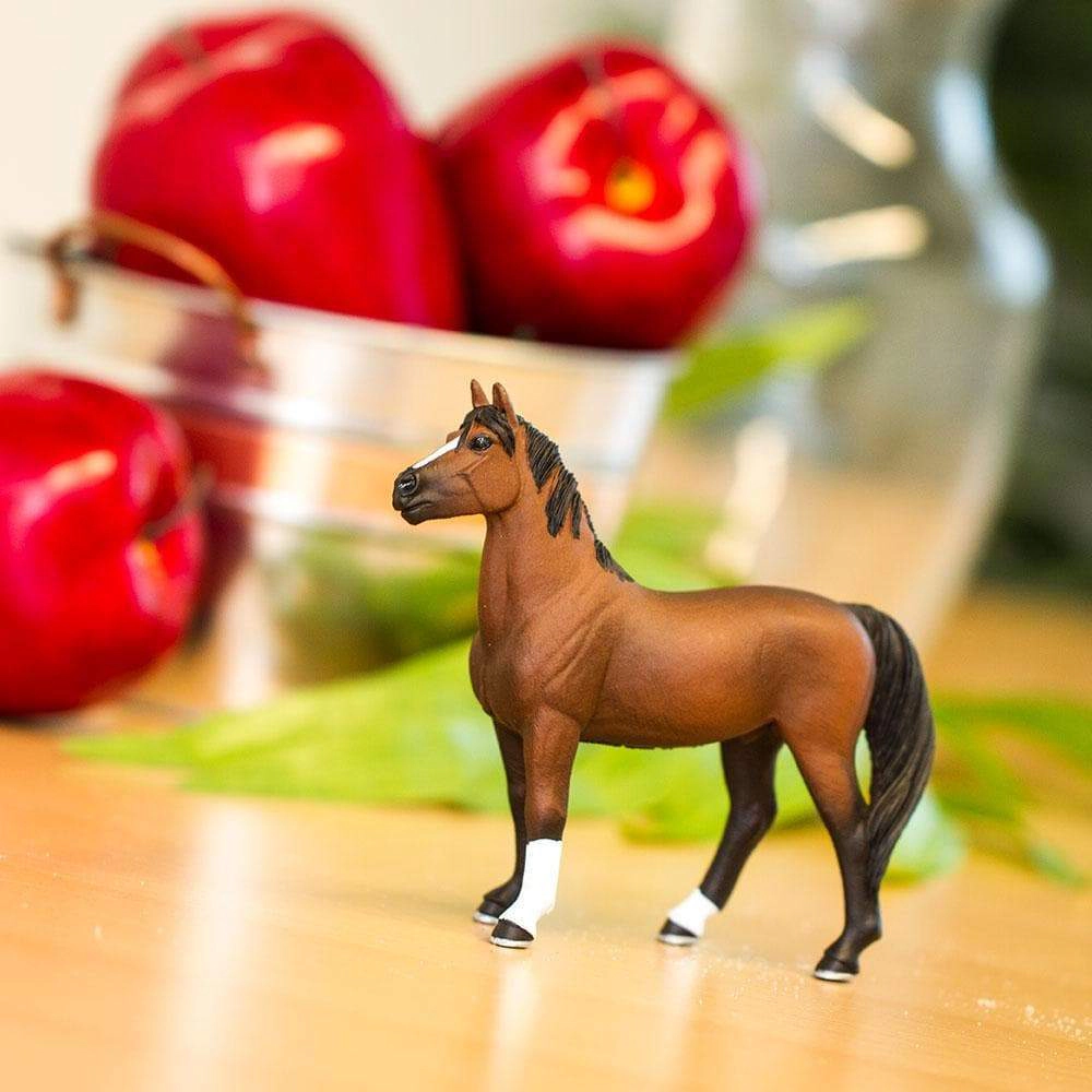 Safari Ltd. - Morgan Stallion Kids Toy Figure