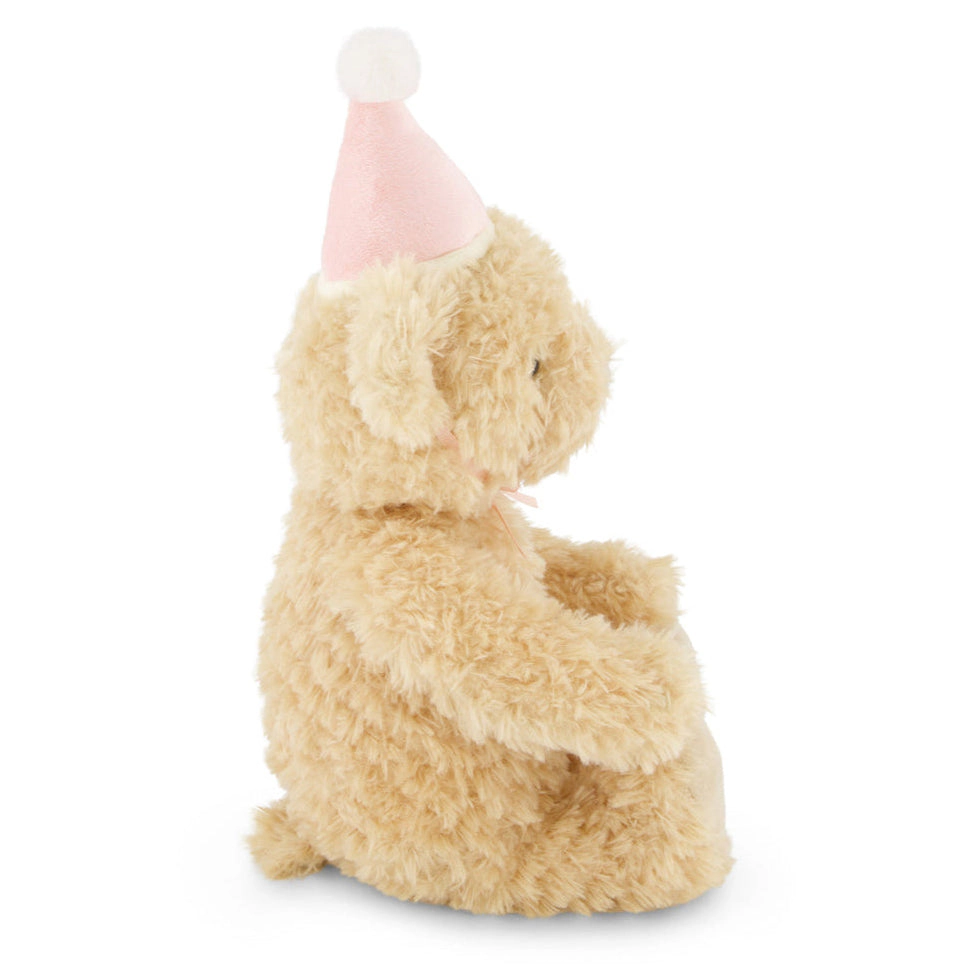 Snuggle Bunnies Birthday Arthur 14"