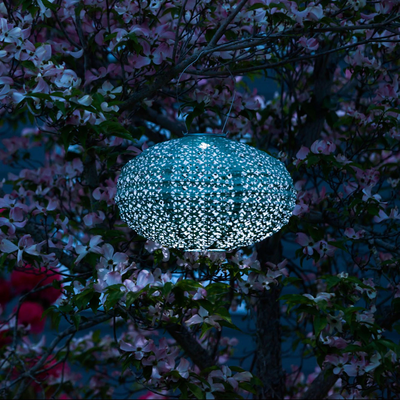Allsop Home & Garden Soji Stella Oval 14 Solar Lantern