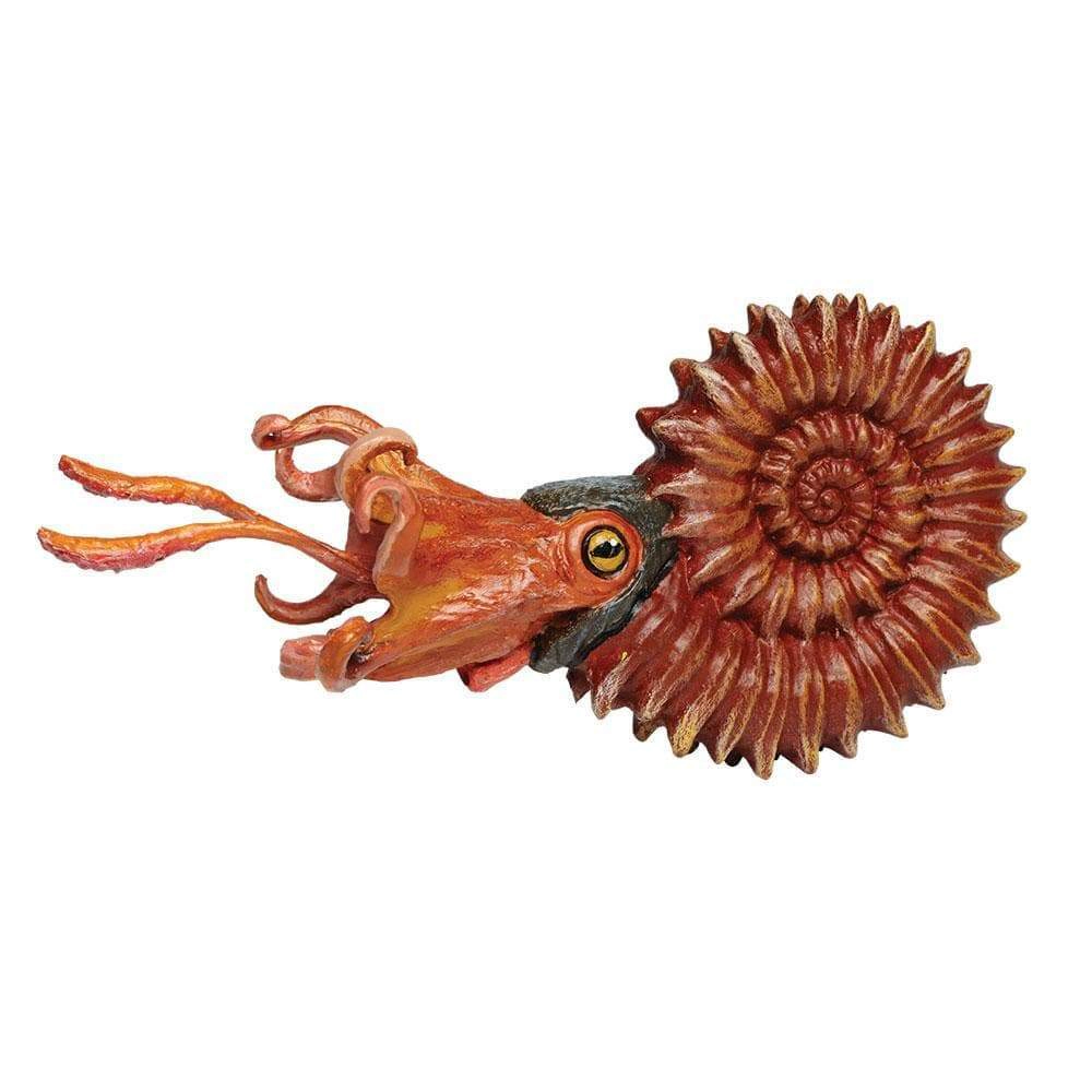 Safari Ltd. - Ammonite Kids Prehistoric/Dinosaur Toy Figure