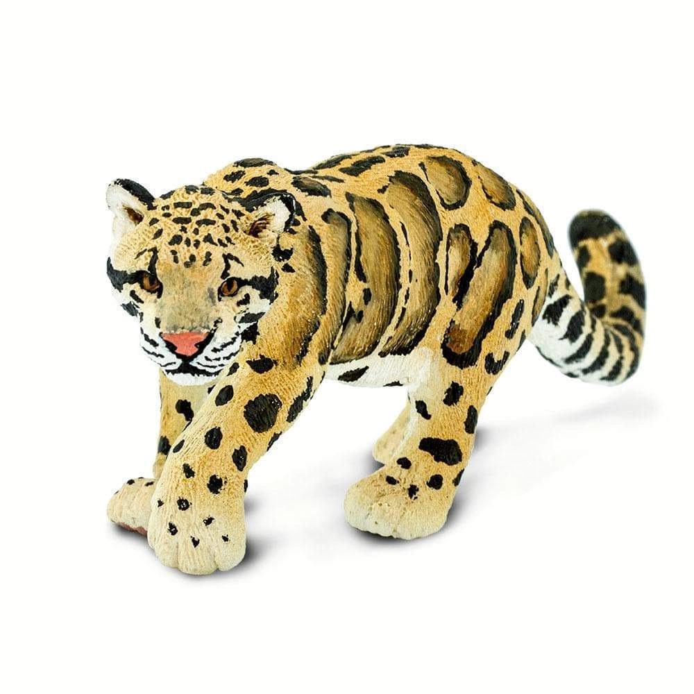 Safari Ltd. - Clouded Leopard Kids Toy Figure