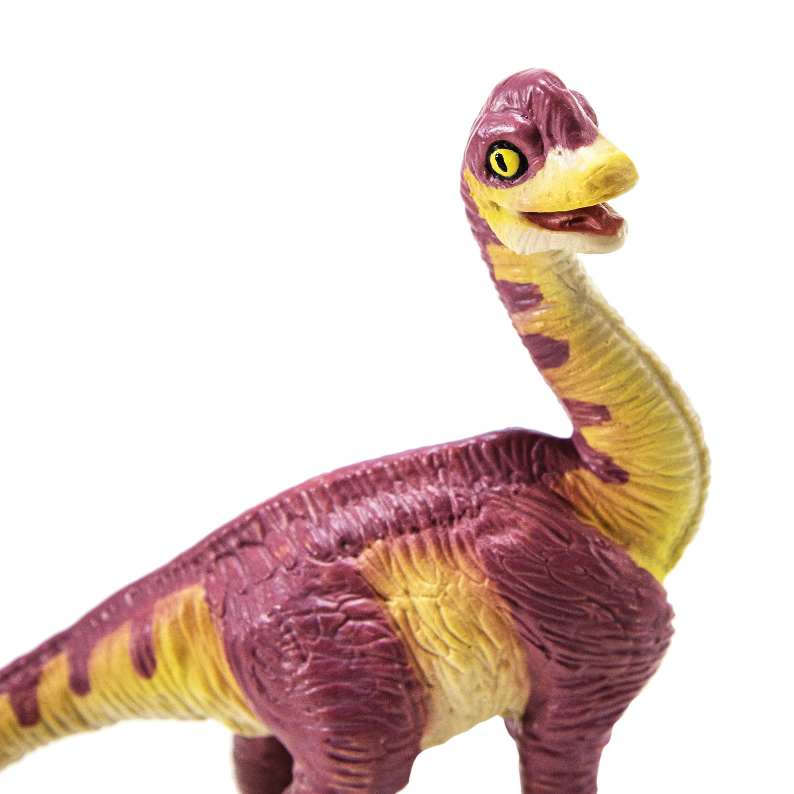 Safari Ltd. - Brachiosaurus Baby Kids Prehistoric/Dinosaur Toy Figure