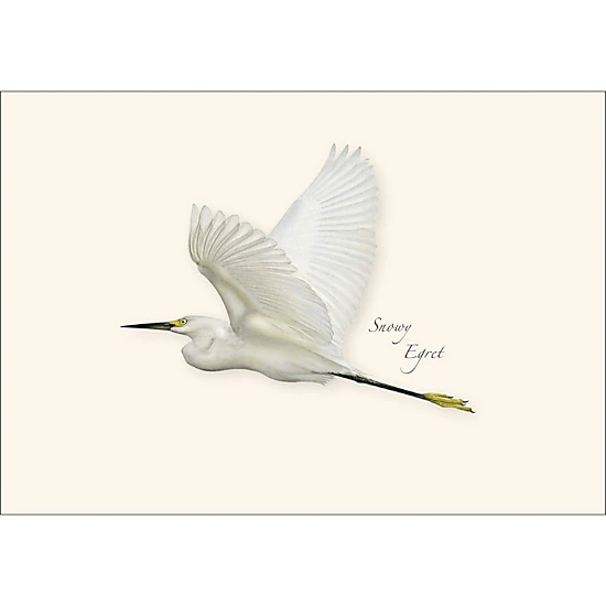Earth Sky + Water Egret Assortment Notecard Set - 8 Blank 3.5 x 5 in Cards with Envelopes