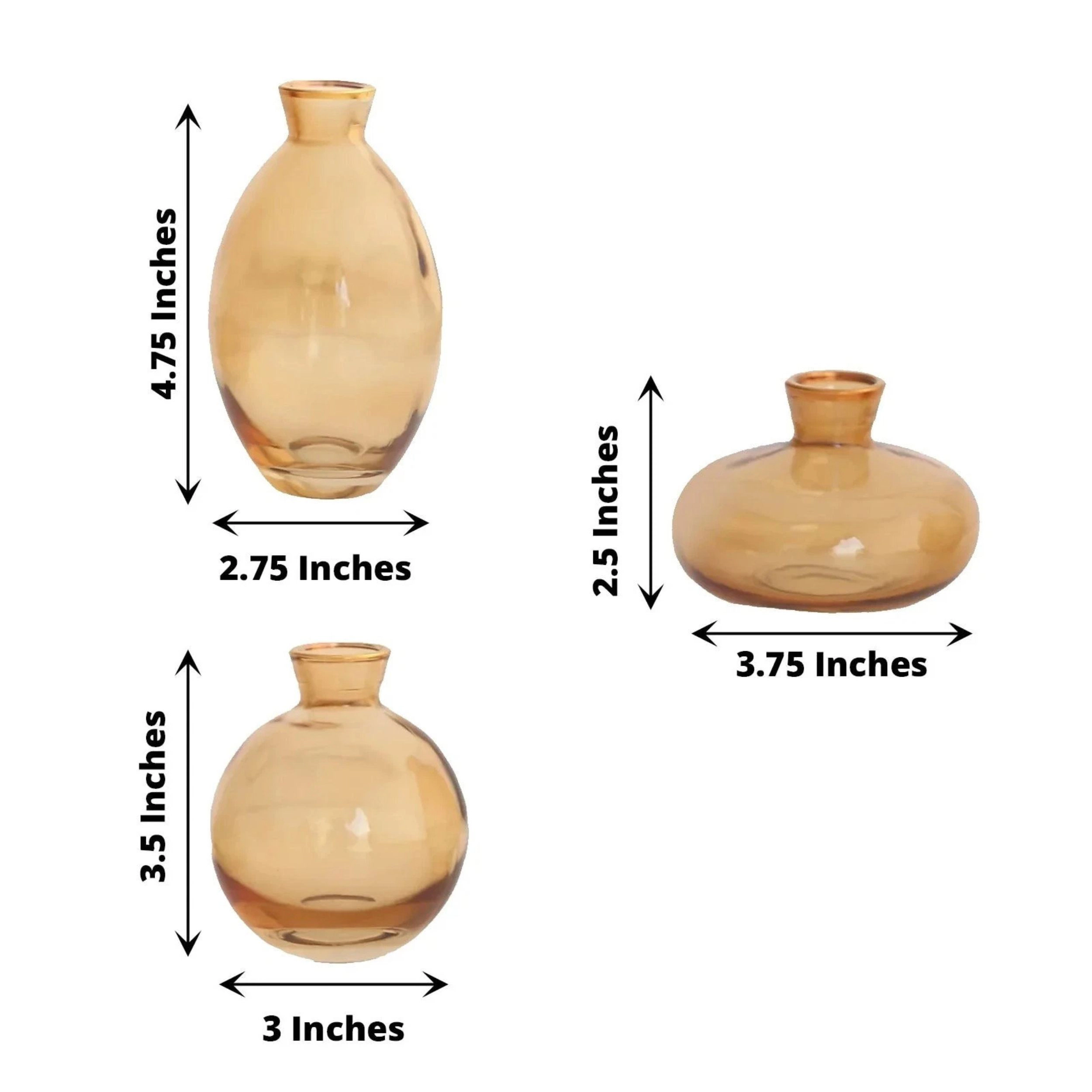 Home Collection Set of 3 Glass Flower Vases with Gold Rim