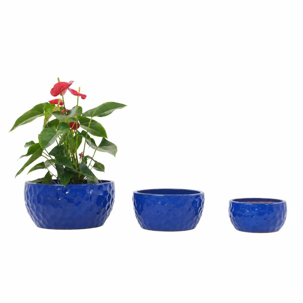 WOW PIONEER Round Solid Ceramic Planter Pot for Flowers Herbs Succulents Small Veg Garden Patio Balcony Indoor