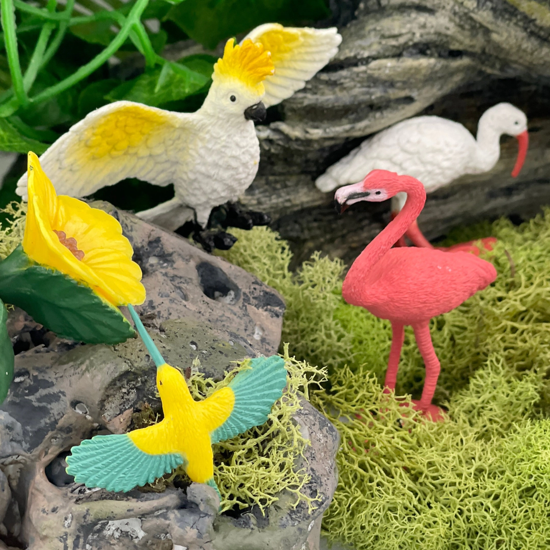 Safari Ltd. - Exotic Birds TOOB - contains 10 Mini Figurines