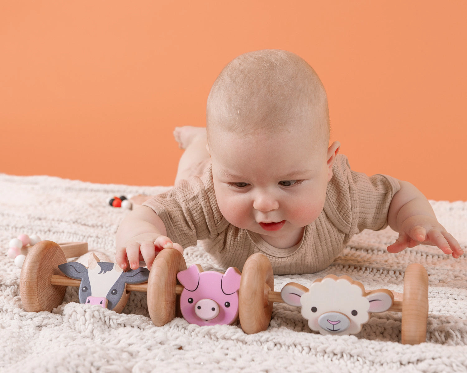 Merry Roll Along Wooden Push Toy, Made in USA