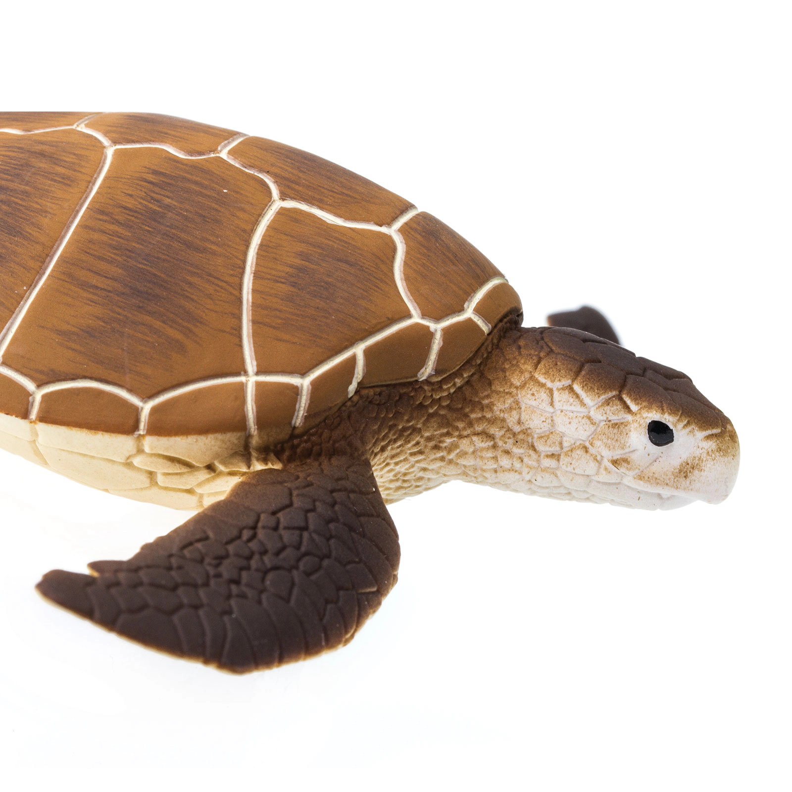 Safari Ltd. - Green Sea Turtle Kids Toy Figure