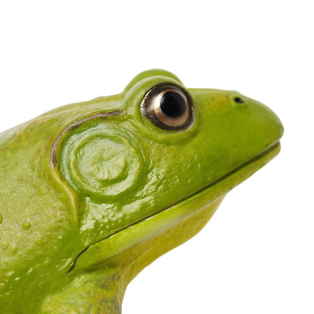 Safari Ltd. - American Bullfrog Kids Toy Figure
