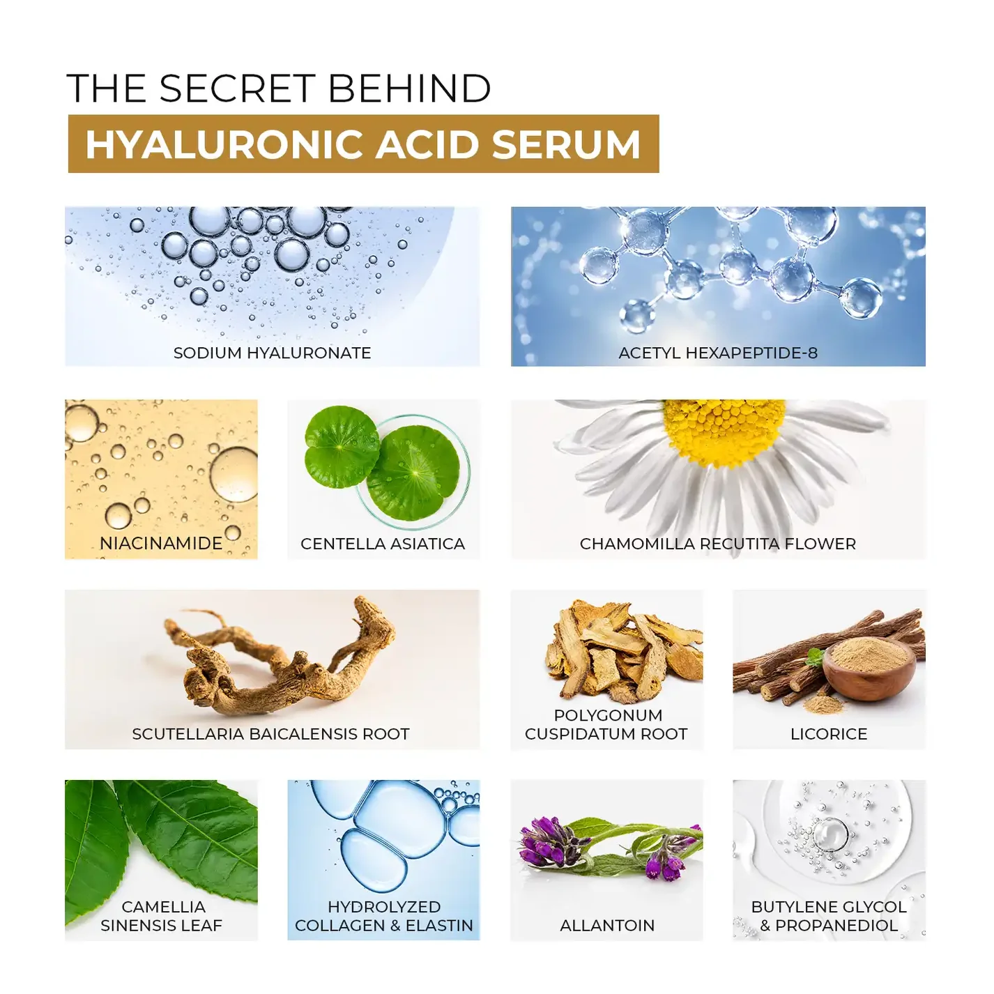 Skin Centrick Hyaluronic Serum with Hyaluronic Acid & Acetyl Hexapeptide-8