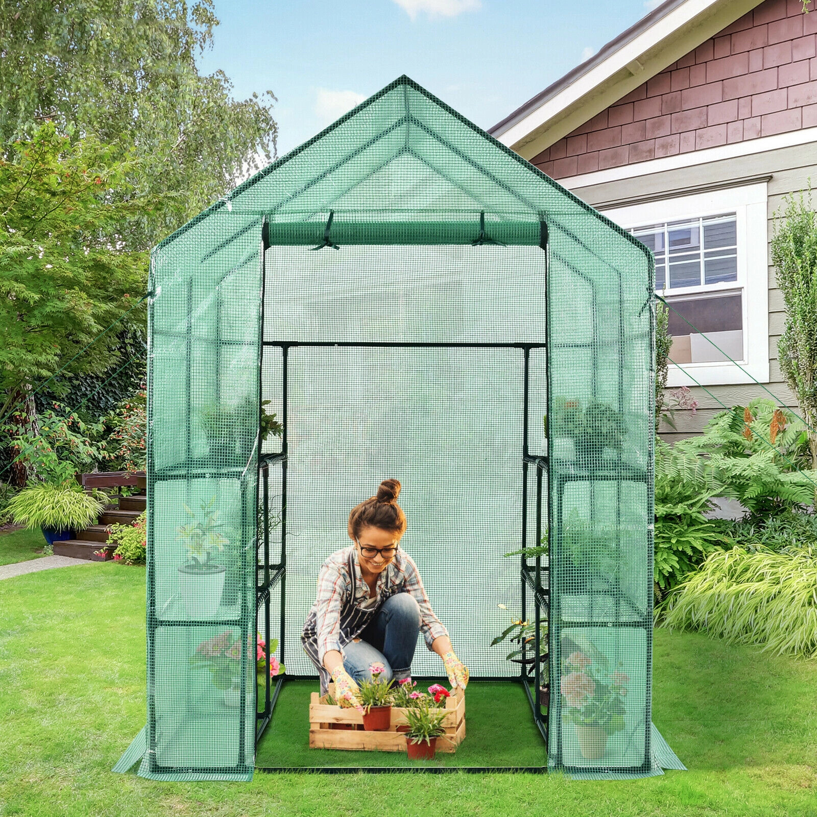 SUGIFT Walk-in Greenhouse 55 x 57 77 with Observation Windows and Roll-up Door