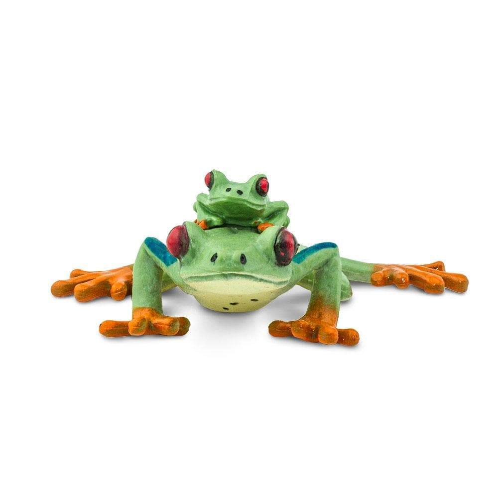 Safari Ltd. - Red-eyed Tree Frog Kids Toy Figure
