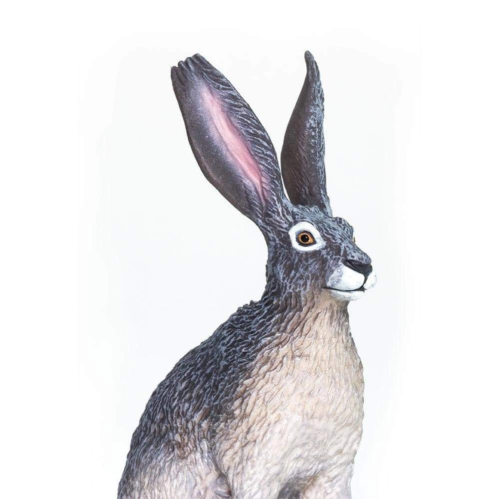 Safari Ltd. - American Desert Hare Kids Toy Figure