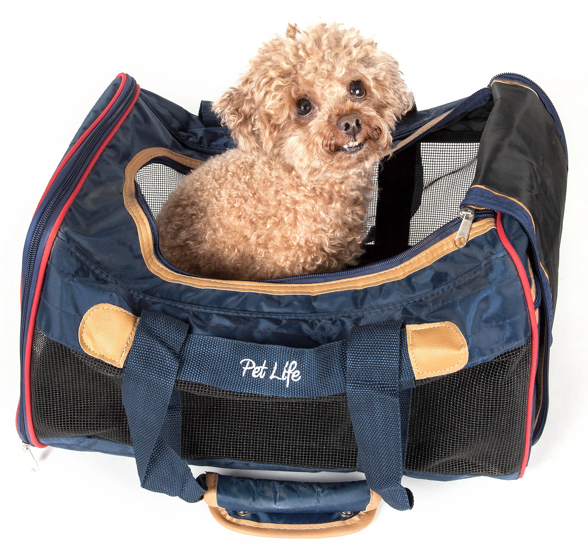 Pet Life ® Airline Approved Aero-Zoom Lightweight Wire Framed Collapsible Pet Carrier