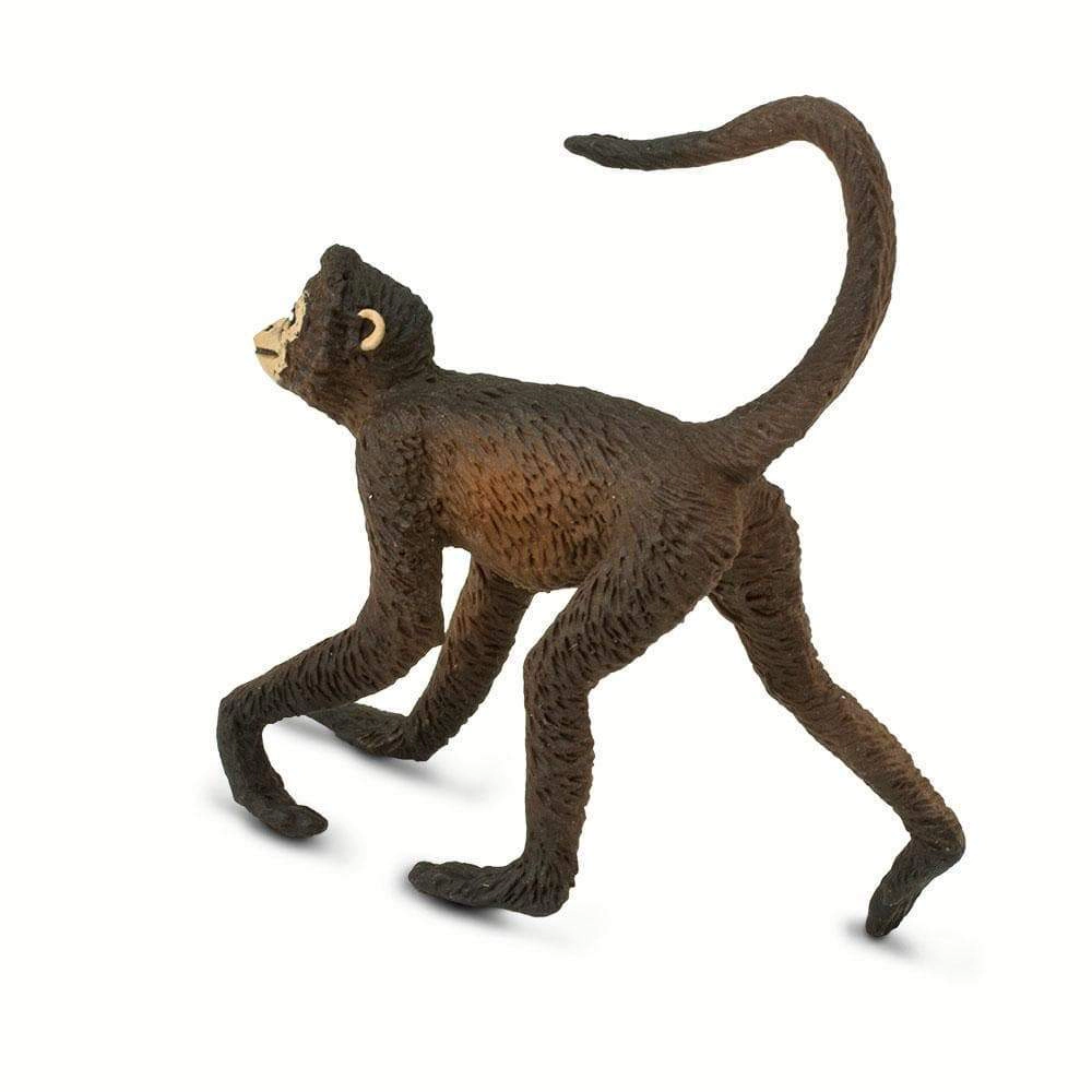Safari Ltd. - Spider Monkey Kids Toy Figure