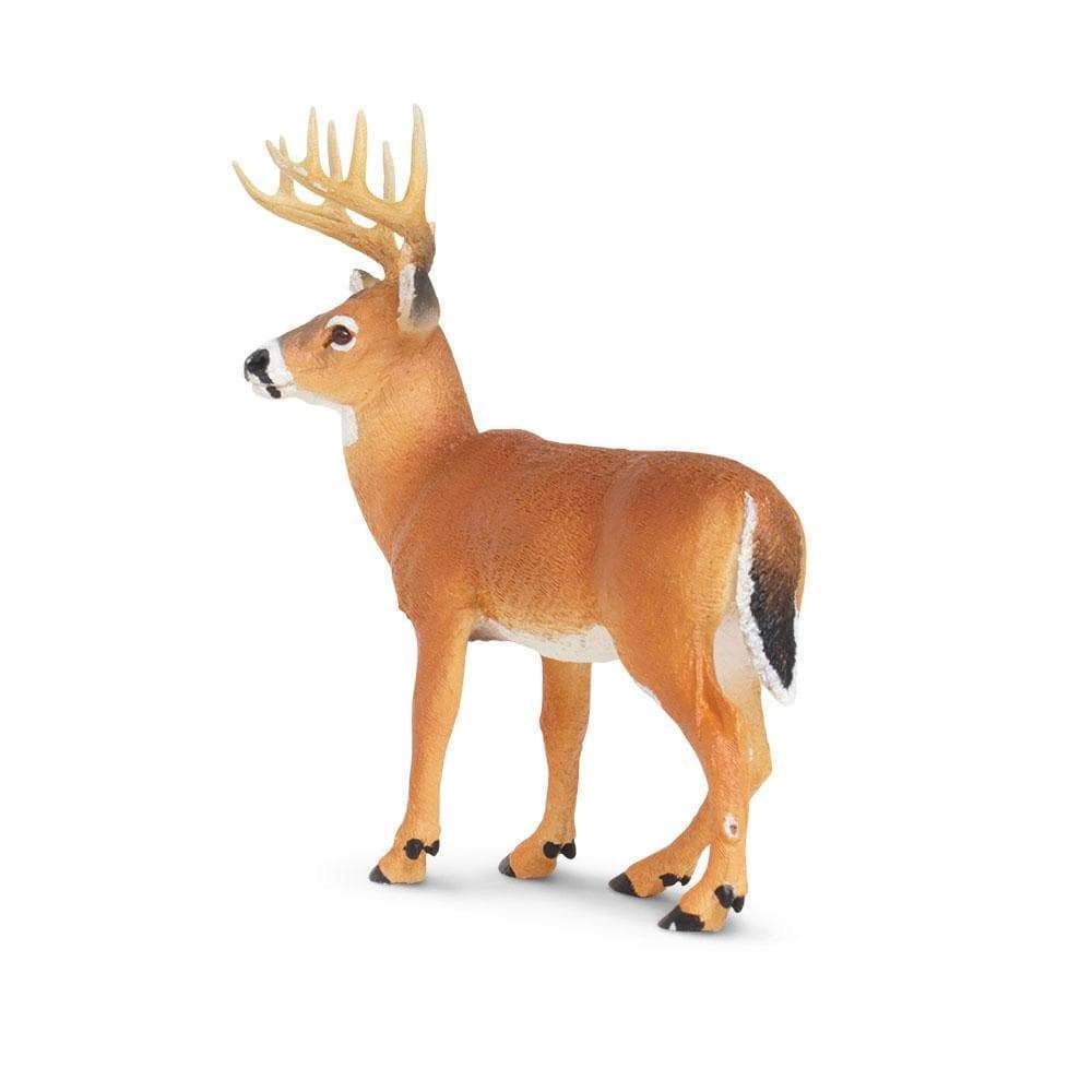 Safari Ltd. - Whitetail Buck Kids Toy Figure