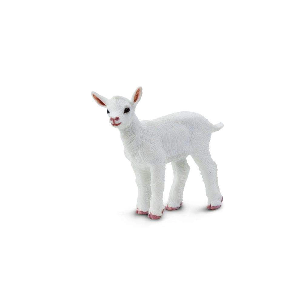 Safari Ltd. - Baby "Kid" Goat Kids Toy Figure