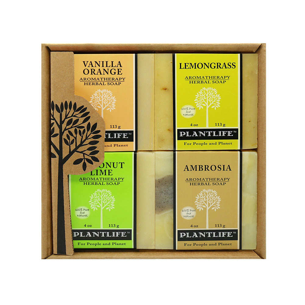 Plantlife Fruit Aromatherapy Herbal Soap 4-Pack Gift Set