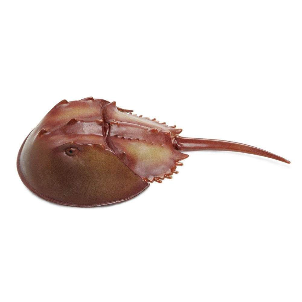 Safari Ltd. - Horseshoe Crab Kids Toy Figure
