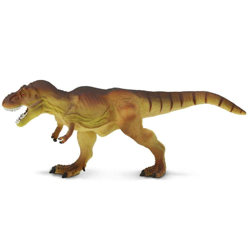 Safari Ltd. - Tyrannosaurus Rex Kids Prehistoric/Dinosaur Toy Figure