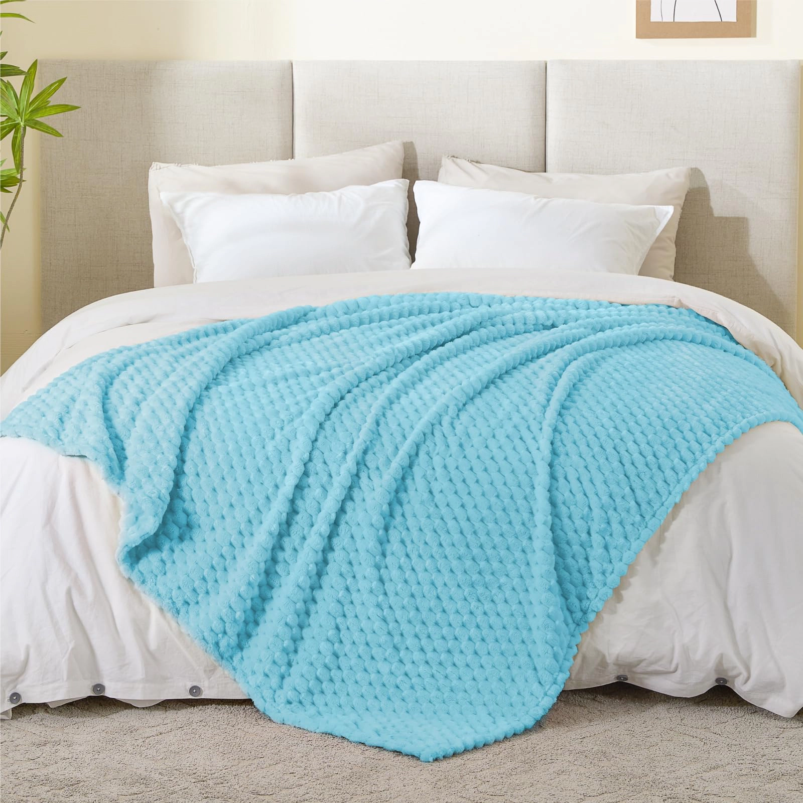 CovertSafe Soft Cozy Blanket For Couch=