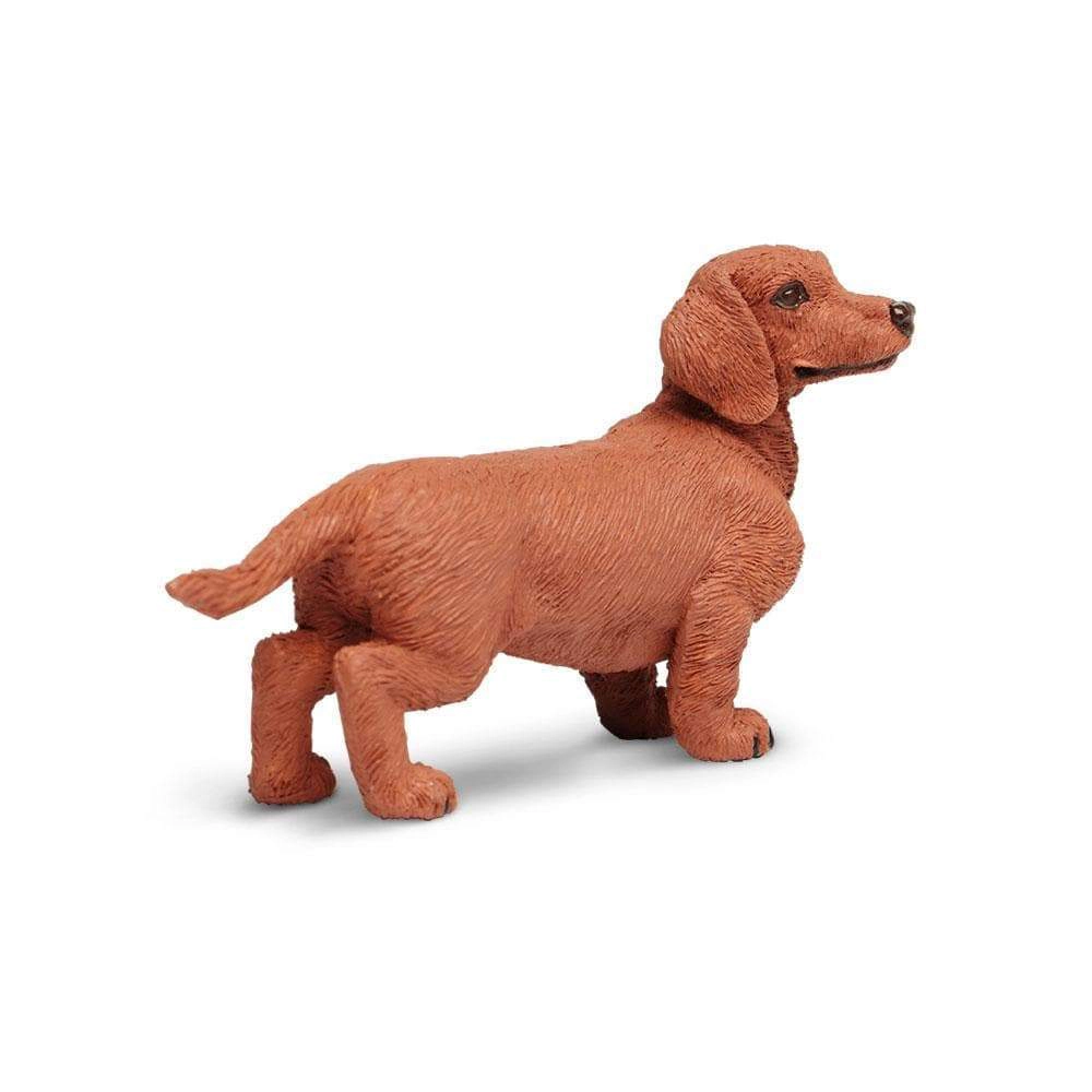Safari Ltd. - Dachshund Kids Toy Figure