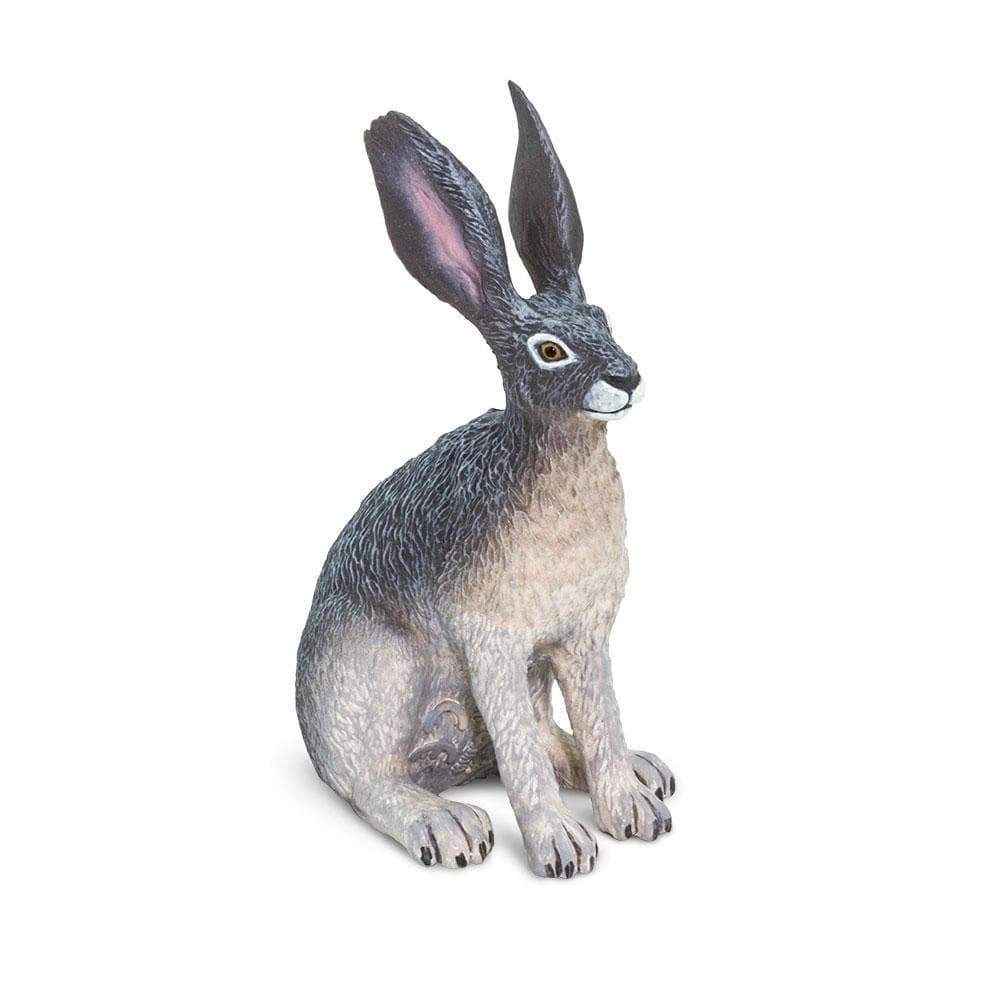 Safari Ltd. - American Desert Hare Kids Toy Figure