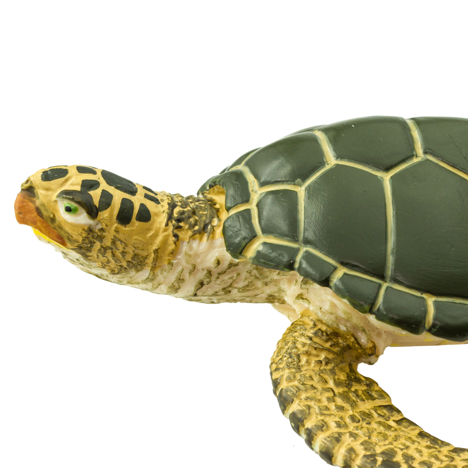 Safari Ltd. - Green Sea Turtle Kids Toy Figure