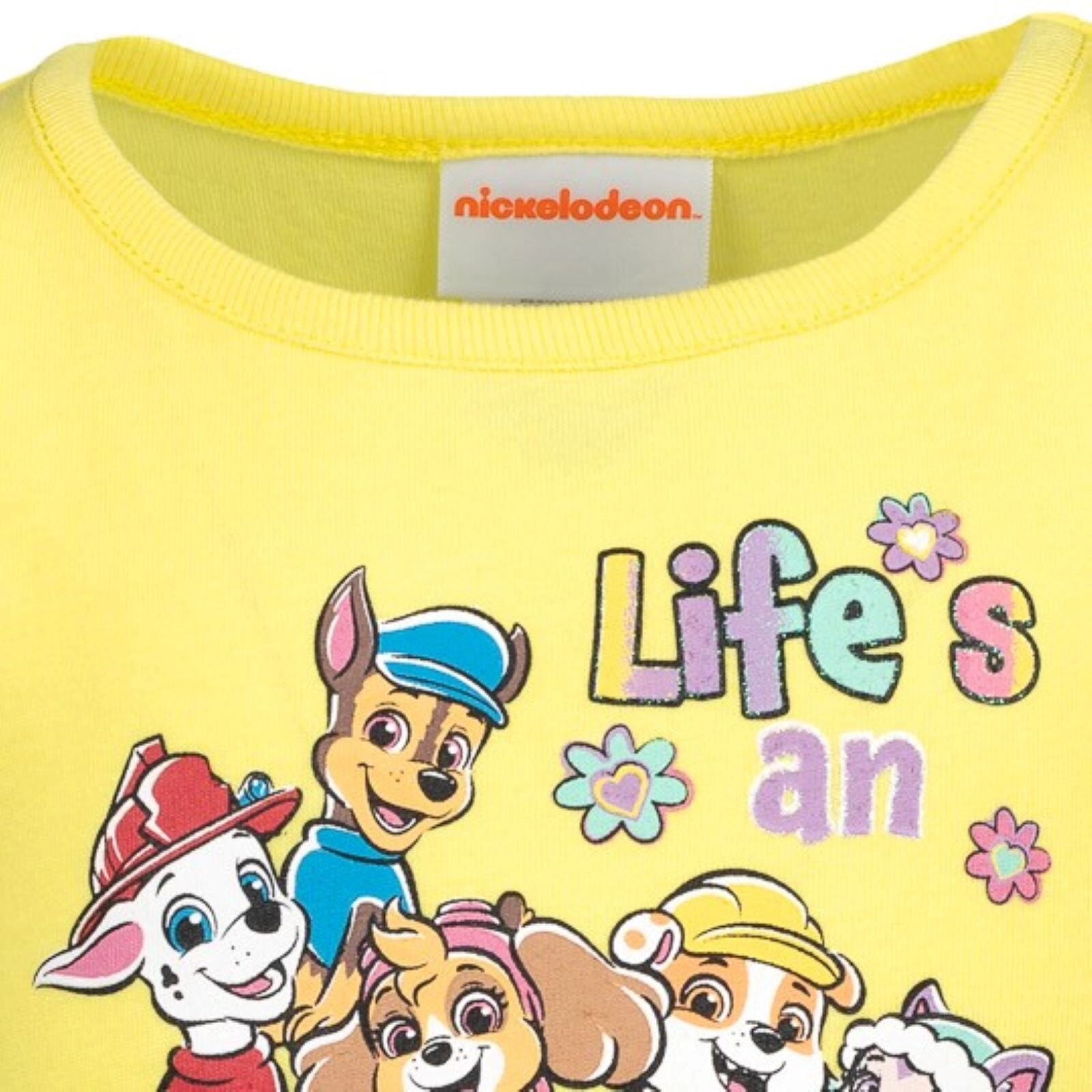 Paw Patrol Girls' Short Sleeve Tutu Dress