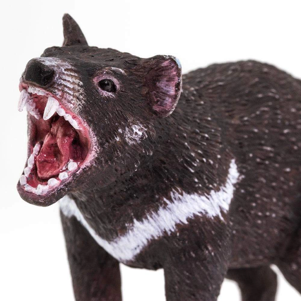 Safari Ltd. - Tasmanian Devil Kids Toy Figure