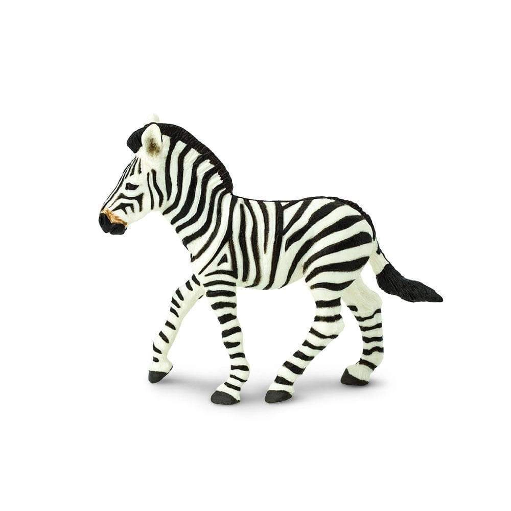 Safari Ltd. - Zebra Foal Kids Toy Figure