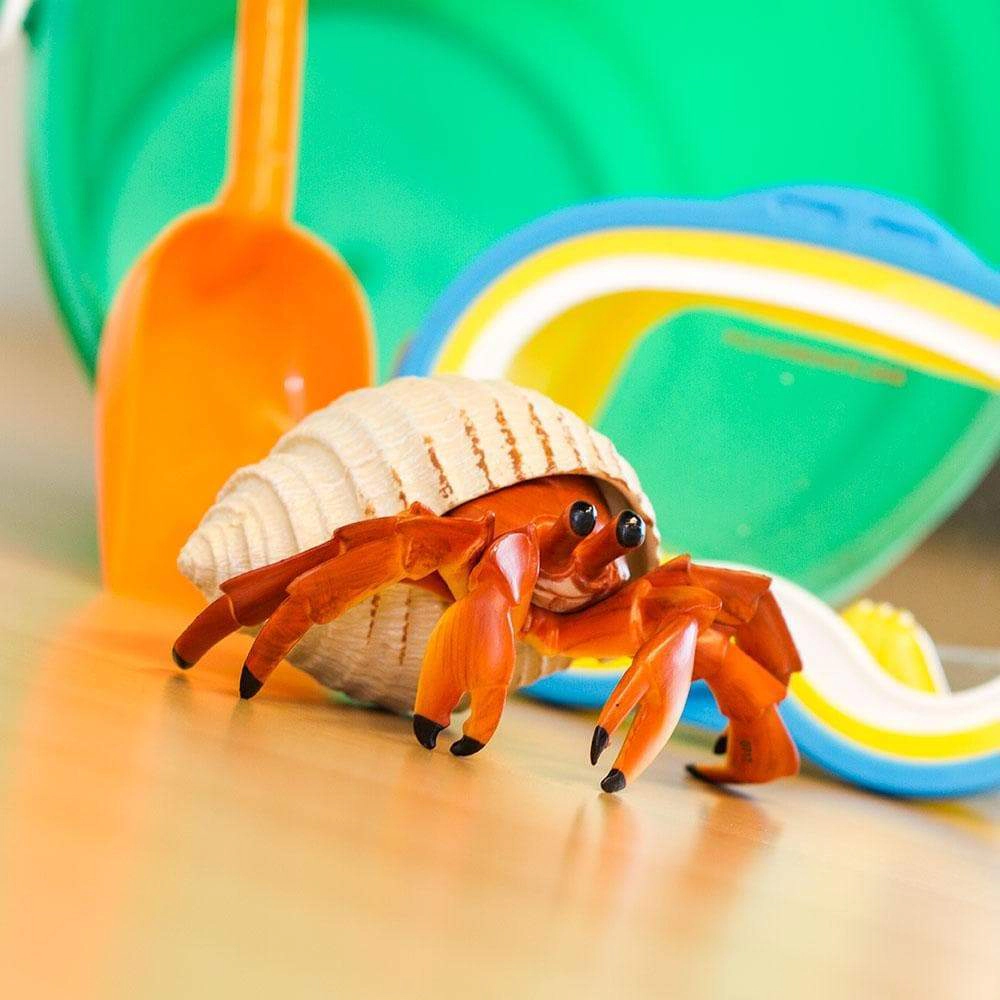 Safari Ltd. - Hermit Crab Kids Toy Figure