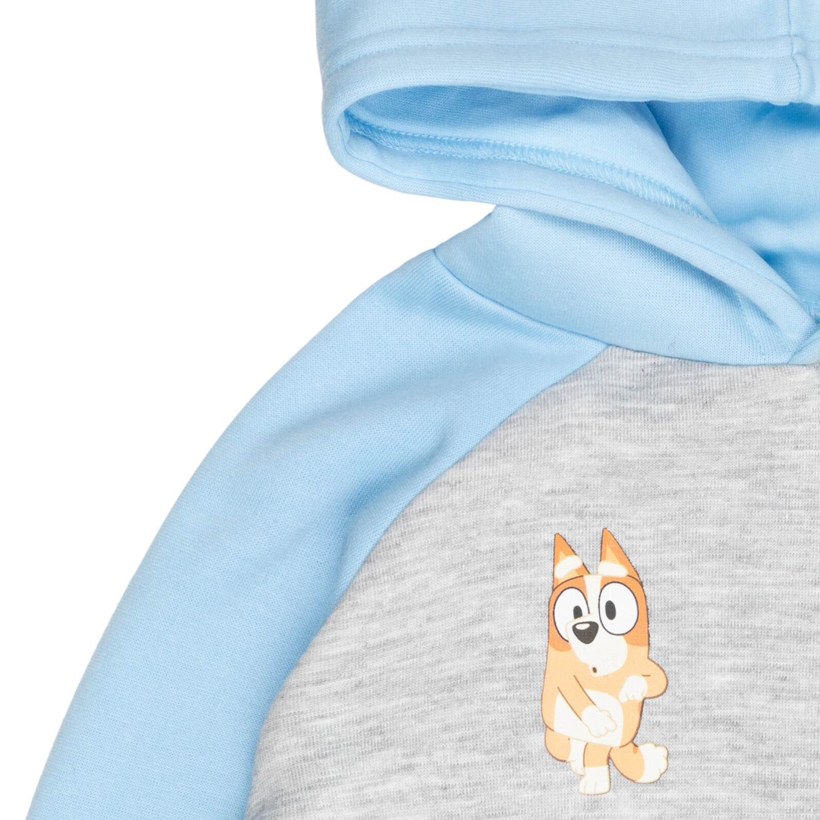 Bluey Boys' Fleece Hooded Sweatshirt