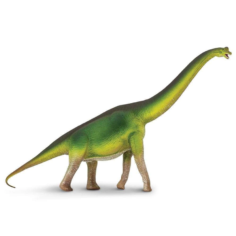 Safari Ltd. - Brachiosaurus Kids Prehistoric/Dinosaur Toy Figure
