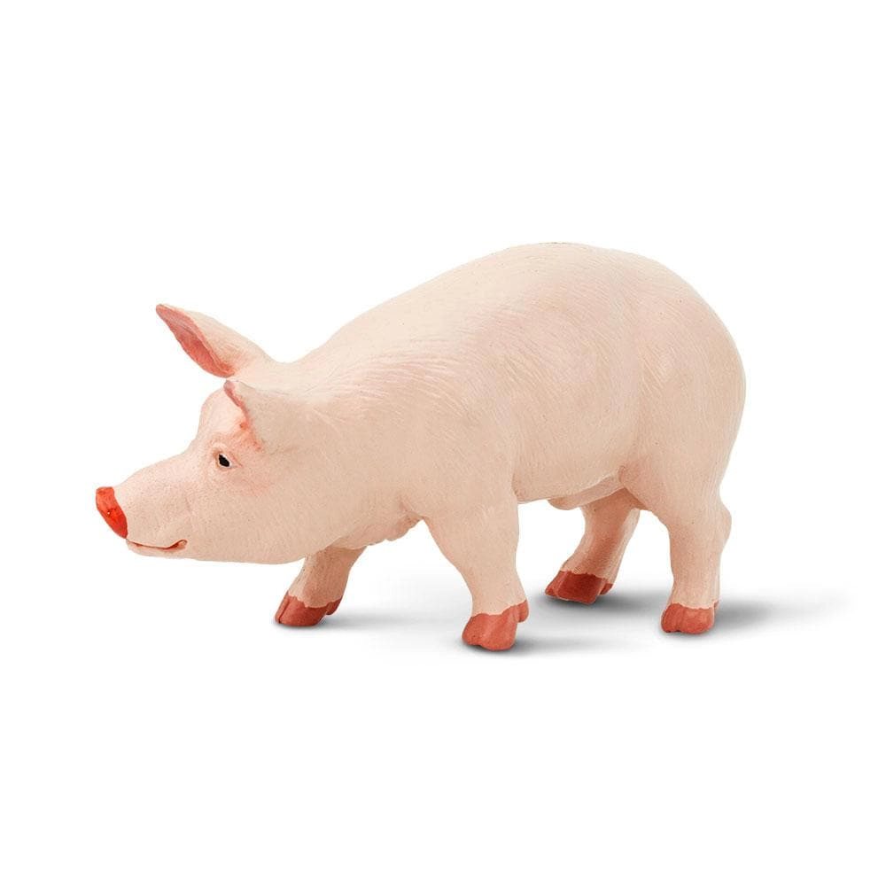 Safari Ltd. - Boar Kids Toy Figure