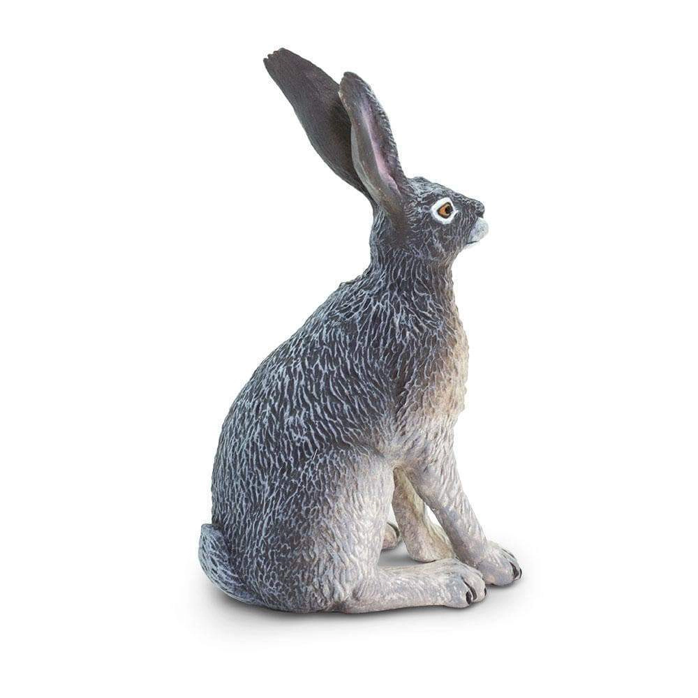 Safari Ltd. - American Desert Hare Kids Toy Figure