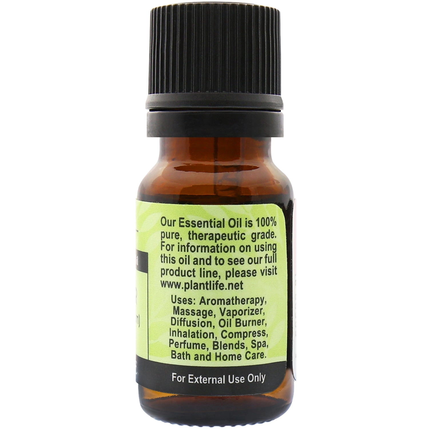 Plantlife Coriander Essential Oil