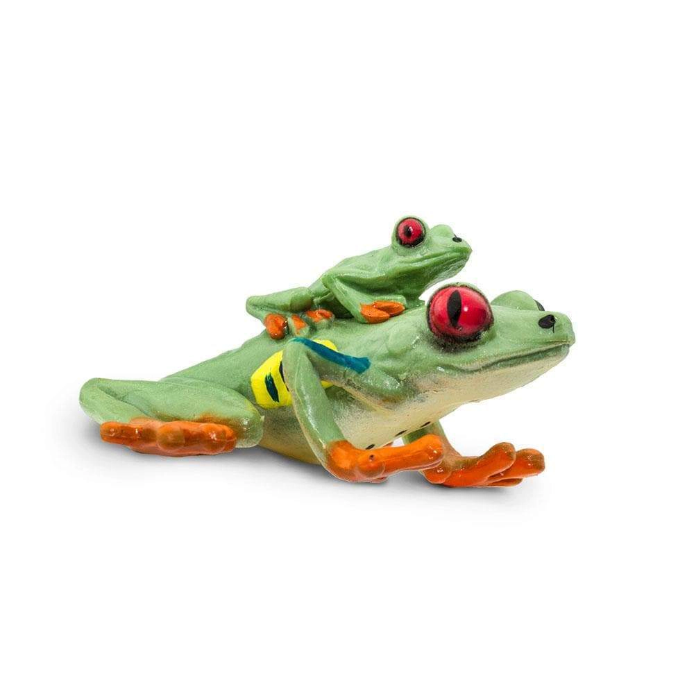Safari Ltd. - Red-eyed Tree Frog Kids Toy Figure